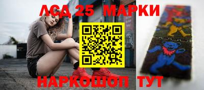 дмт Славгород