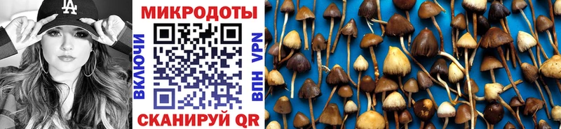 Псилоцибиновые грибы мухоморы  наркотики  Сальск 