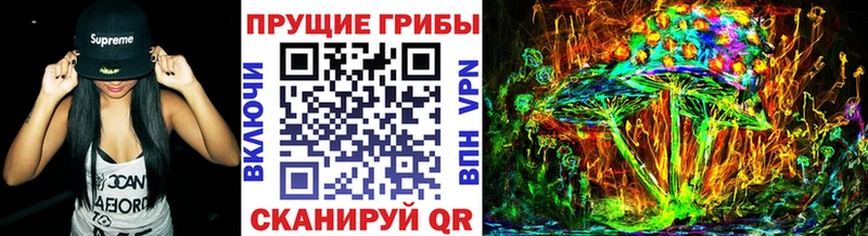 Галлюциногенные грибы GOLDEN TEACHER Сальск