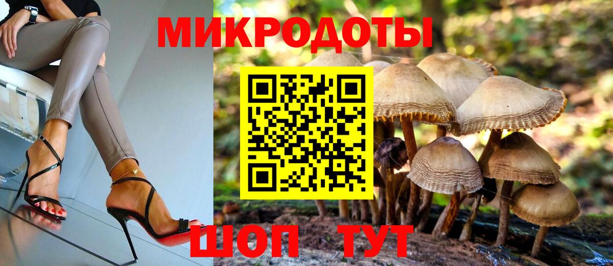 Сальск  Галлюциногенные грибы Psilocybe  Вход с VPN 